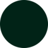 Vert (RAL 6009)